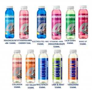 4MOVE WITAMIN WATER 0,556l paleta 1044 szt